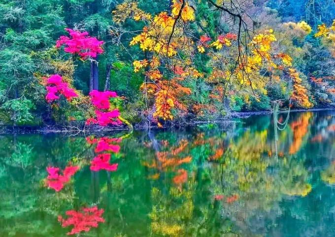 沪江开心词场